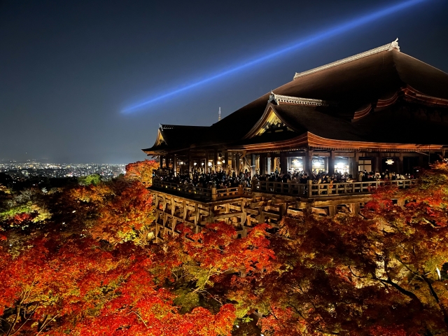 清水寺ライトアップ紅葉
