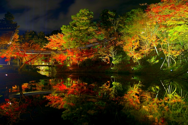 高台寺紅葉ライトアップ