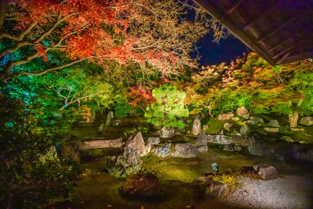 圓徳院の紅葉　夜間特別拝観