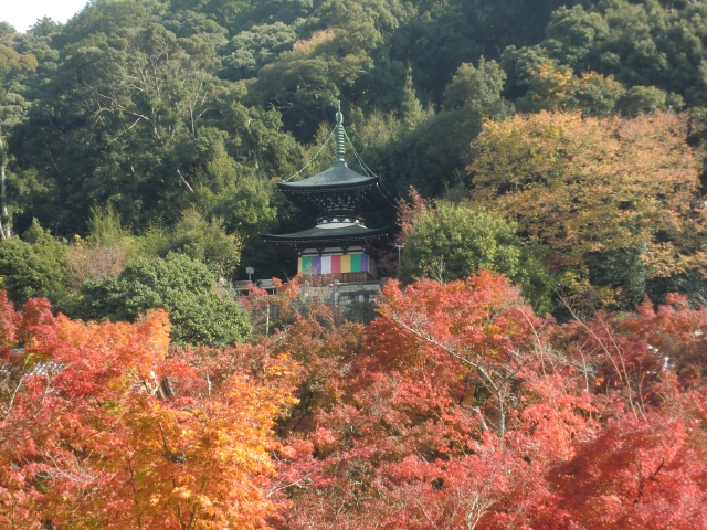 永観堂の多宝塔