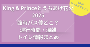 King & Princeとうちあげ花火2025臨時バス停どこ？運行時間・混雑・トイレ情報まとめ