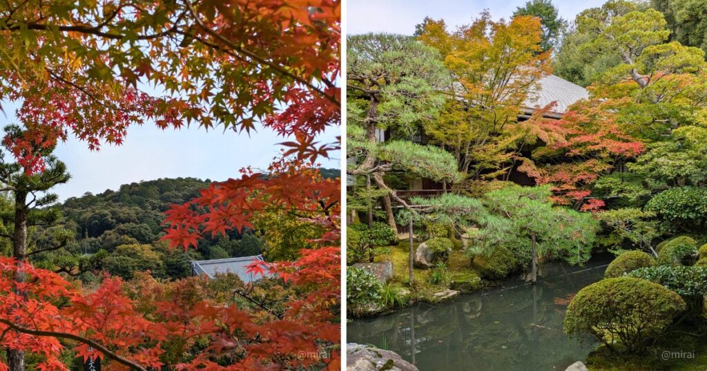 永観堂の本堂や池周辺