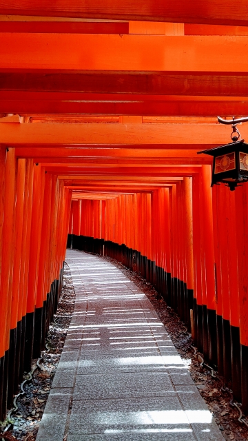 伏見稲荷大社・千本鳥居