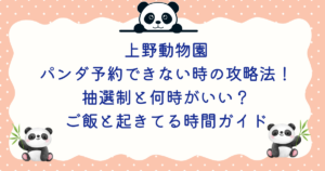 上野パンダ予約できない時の攻略法！抽選と何時がいい？ご飯と起きてる時間ガイド