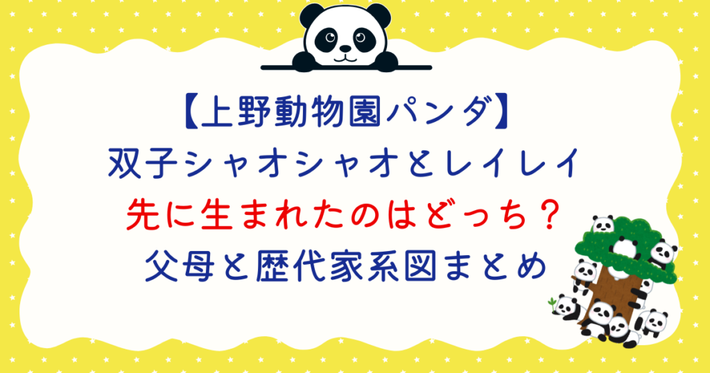 【上野パンダ】双子シャオシャオとレイレイ先に生まれたのはどっち？父母と歴代家系図まとめ