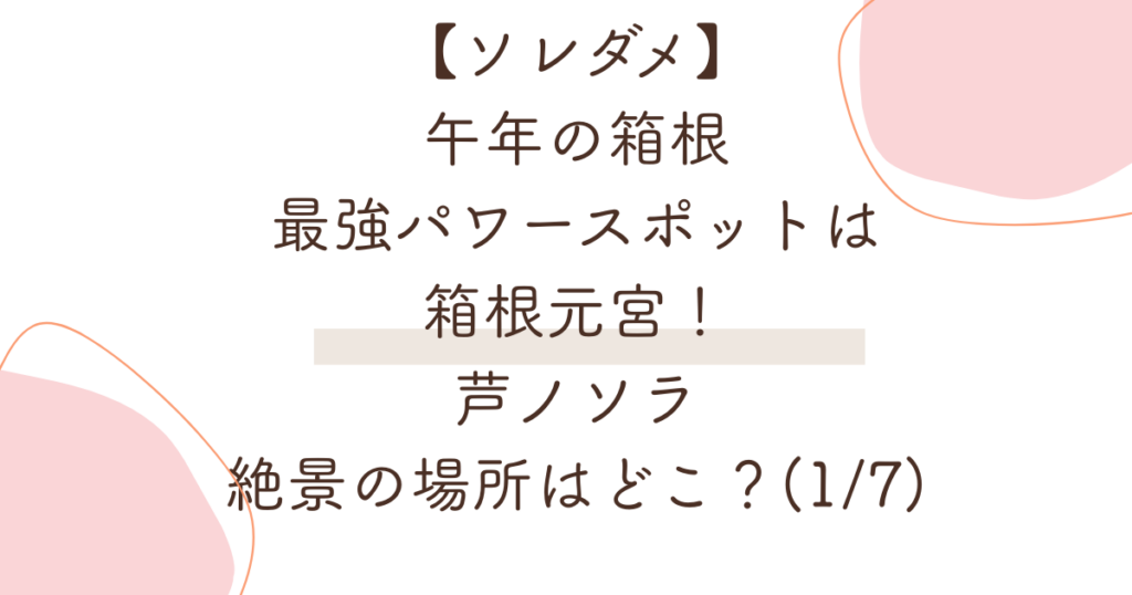 【ソレダメ】午年の箱根最強パワースポットは元宮！芦ノソラ絶景の場所どこ(1/7)