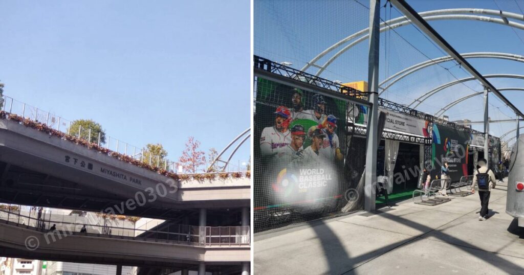 宮下パークWBC特設ショップ