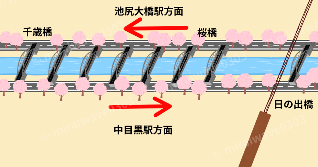 目黒川 さくらまつり 一方通行図