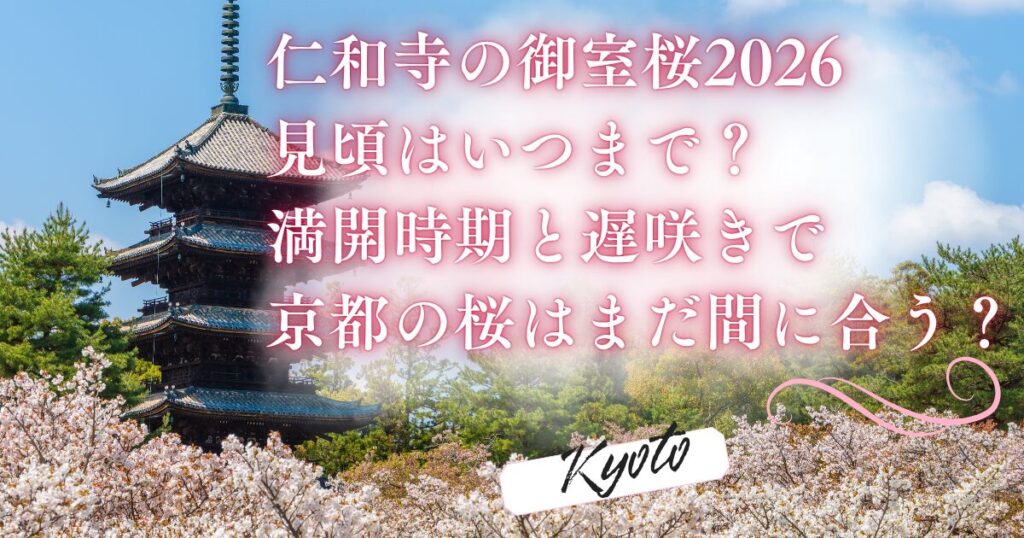 仁和寺の御室桜2026 見頃はいつまで？ 満開時期と遅咲きで 京都の桜はまだ間に合う？