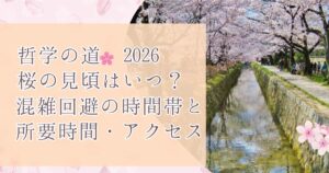 哲学の道桜2026見頃はいつ?混雑回避の時間帯と所要時間・アクセス