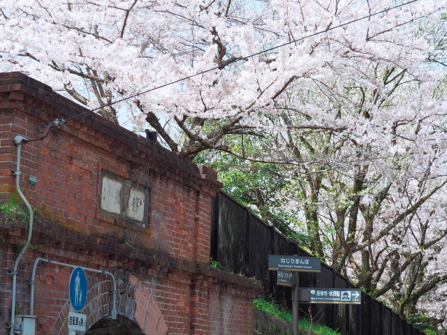 南禅寺周辺のインクライン
