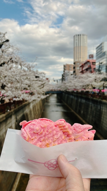 目黒 さくらまつり 食べ歩き