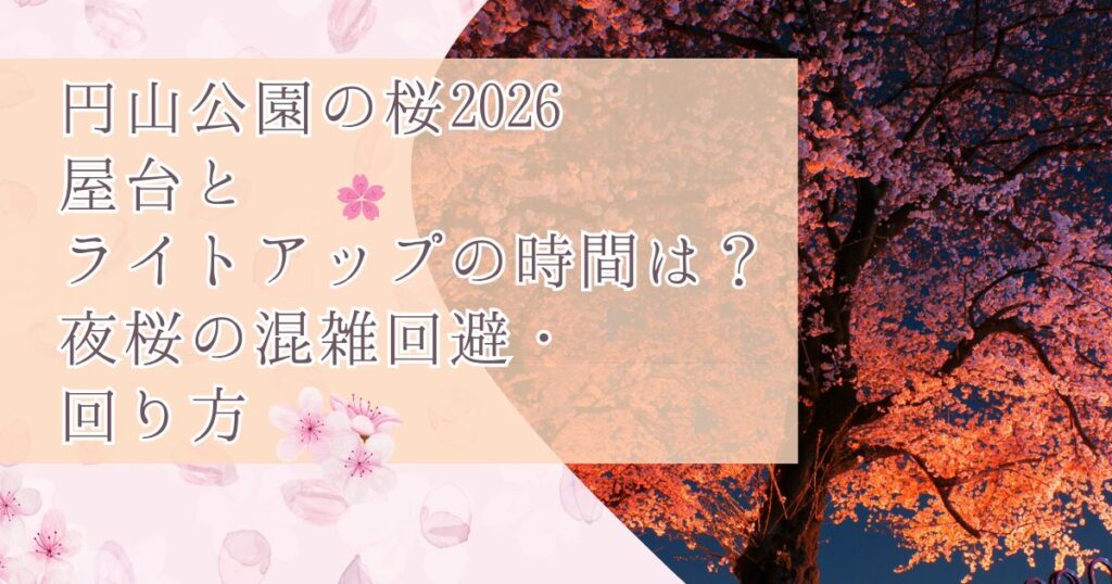円山公園の桜2026屋台とライトアップの時間は？夜桜の混雑回避と回り方