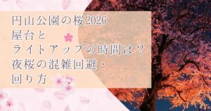 円山公園の桜2026屋台とライトアップの時間は?夜桜の混雑回避と回り方