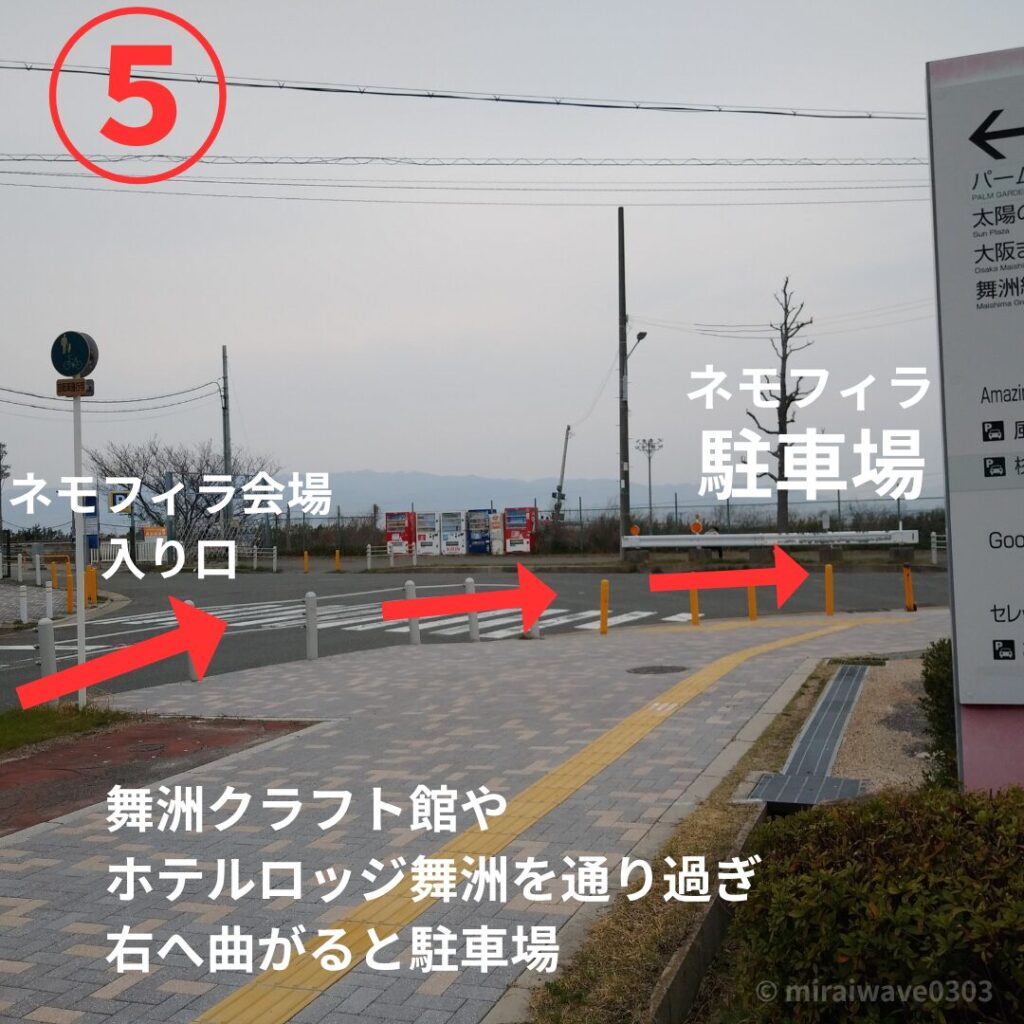 ネモフィラ祭り会場前