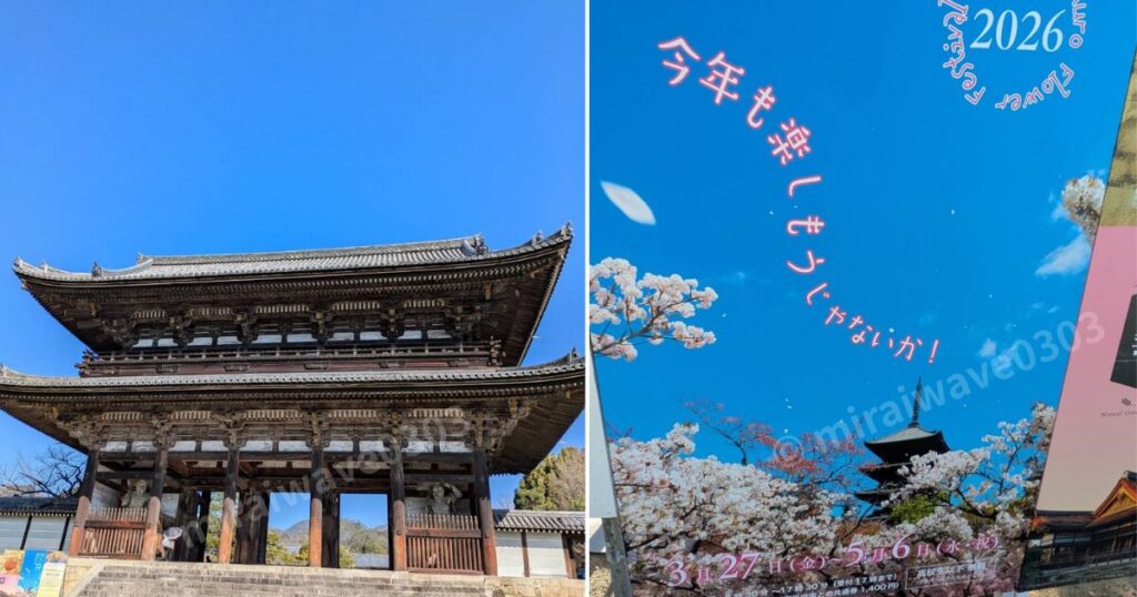 仁和寺仁王門と花まつりの看板