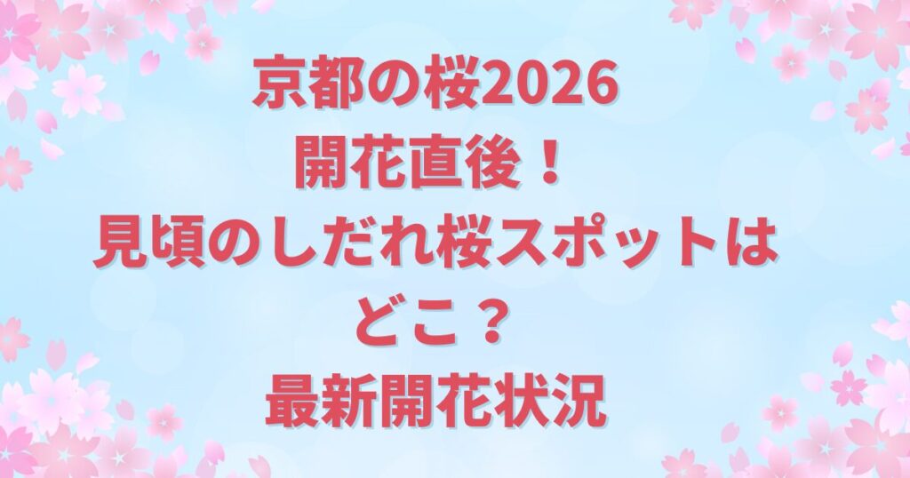 京都の桜2026開花直後！見頃のしだれ桜スポットはどこ？最新開花状況
