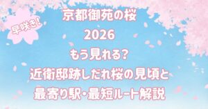 近衛邸跡しだれ桜の見頃と最寄り駅・最短ルート解説