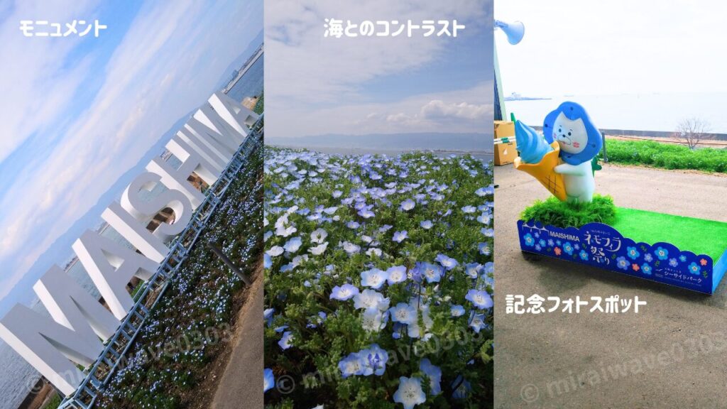 舞洲ネモフィラ　フォトスポット