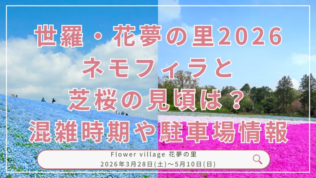 世羅・花夢の里2026ネモフィラと芝桜の見頃は？混雑時期や駐車場情報