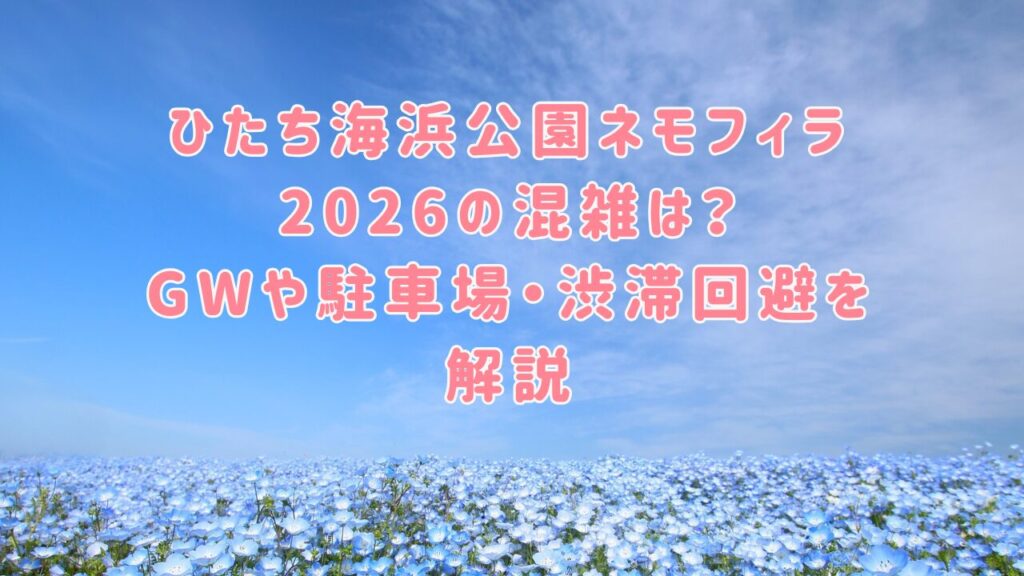 ひたち海浜公園ネモフィラ2026の混雑は？GWや駐車場・渋滞回避を解説