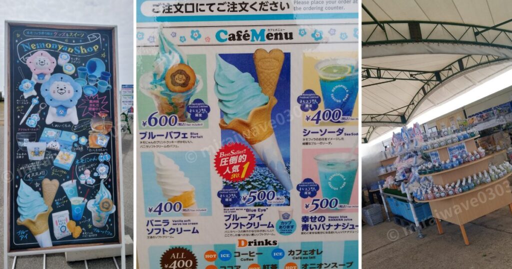 ネモフィラ祭りカフェメニュー